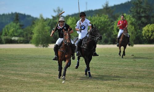 Exkluzivní polo na koních Exkluzivní polo na koních