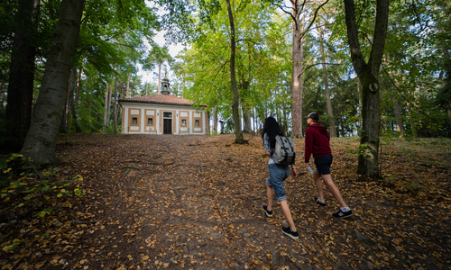 Brdská hřebenovka Brdská hřebenovka