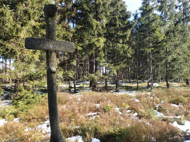 Tok (865 m) je nejvyšší v Brdech