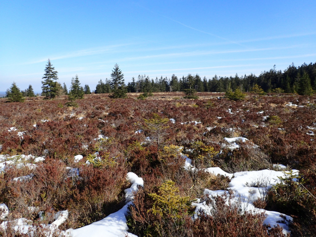 11 nejvyšších hor Brd převyšuje 800 m n.m.