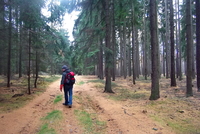 Obuv na túru: Jak vybrat opravdu kvalitně? Obuv na túru: Jak vybrat opravdu kvalitně?