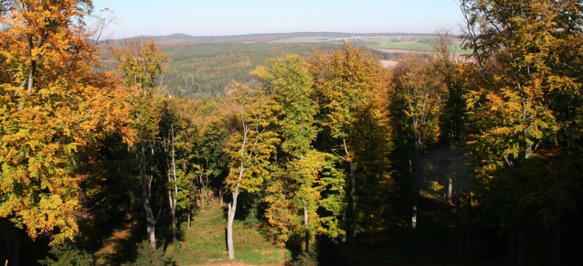 Zbiroh a tajemný zámek 