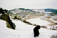 Koněpruské jeskyně a Zlatý kůň Koněpruské jeskyně a Zlatý kůň