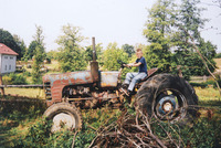 Tady nedávají dobrou noc ani lišky Tady nedávají dobrou noc ani lišky