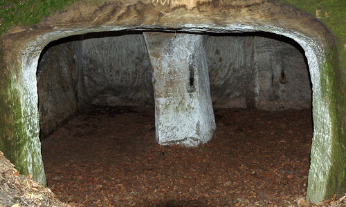 Hynšta, zřícenina pevnosti v Příhrazských skalách Hynšta, zřícenina pevnosti v Příhrazských skalách