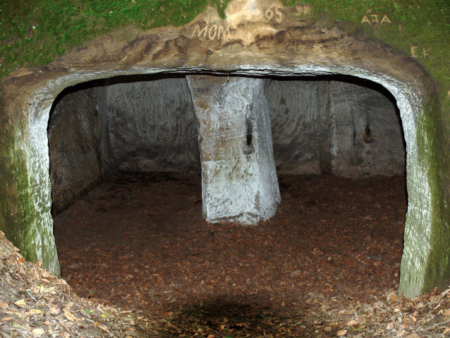 Hynšta, zřícenina pevnosti v Příhrazských skalách