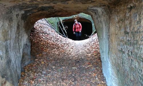 Hynšta, zřícenina pevnosti v Příhrazských skalách Hynšta, zřícenina pevnosti v Příhrazských skalách
