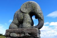 Divočina na přechodu Králického Sněžníku Divočina na přechodu Králického Sněžníku