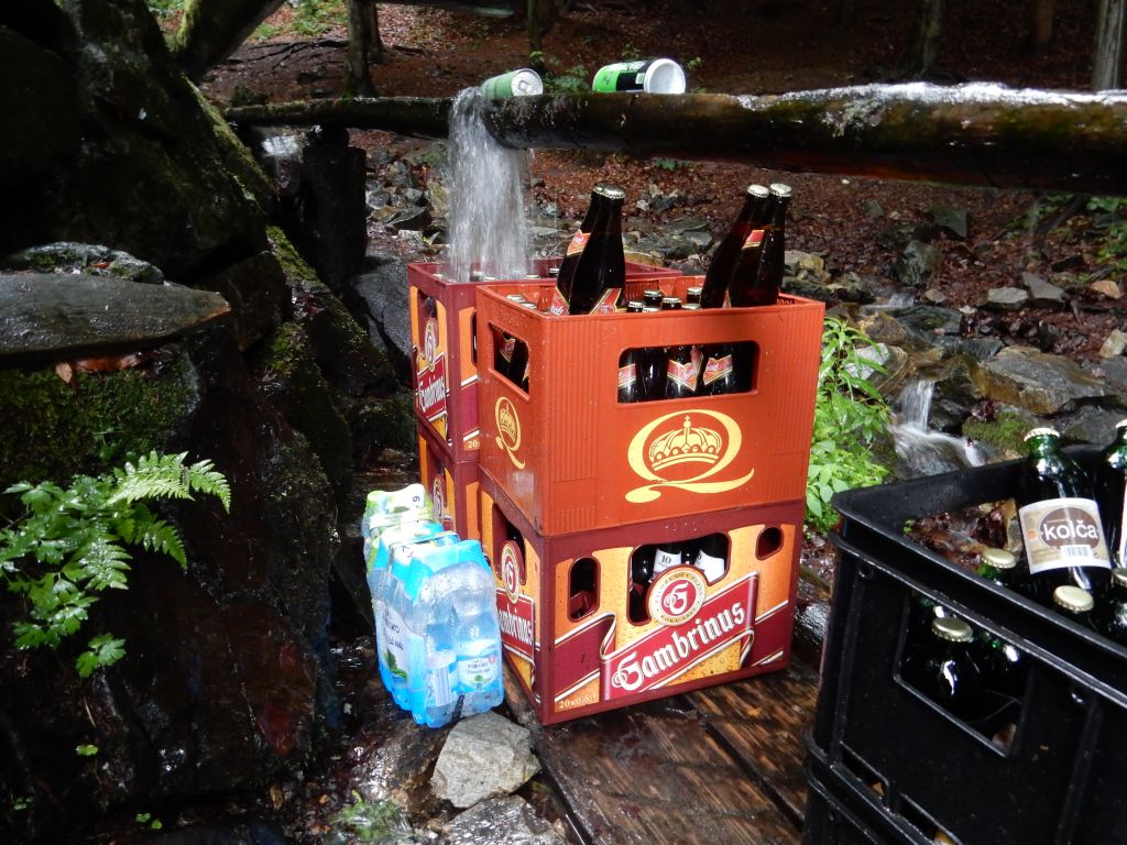 Lesní bar nabízí několik druhů piva.