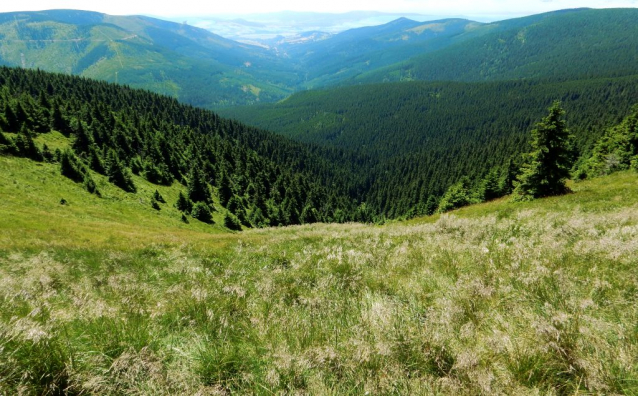 Altán u Mléčného pramene na Velké Moravě