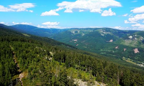 Spadla v noci do Stříbrného potoka v Jeseníkách Spadla v noci do Stříbrného potoka v Jeseníkách