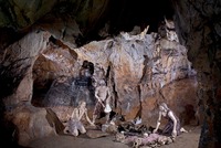 Mladečské jeskyně: pohřebiště lidojedů Mladečské jeskyně: pohřebiště lidojedů