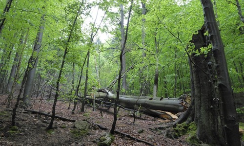 Jizerský guláš 2023 Jizerský guláš 2023