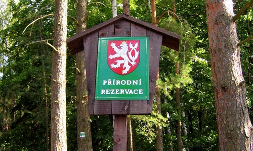 Čarovný pískovec na Kokořínsku Čarovný pískovec na Kokořínsku
