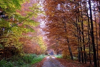 Umělá příroda na Křivoklátě Umělá příroda na Křivoklátě