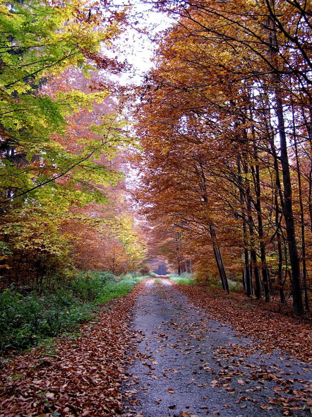 Greenway Berounka - Střela na kole