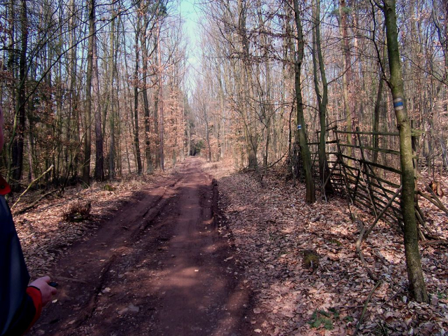 Vraní skála. Výlet na Křivoklátsko, který nikdy nezklame.