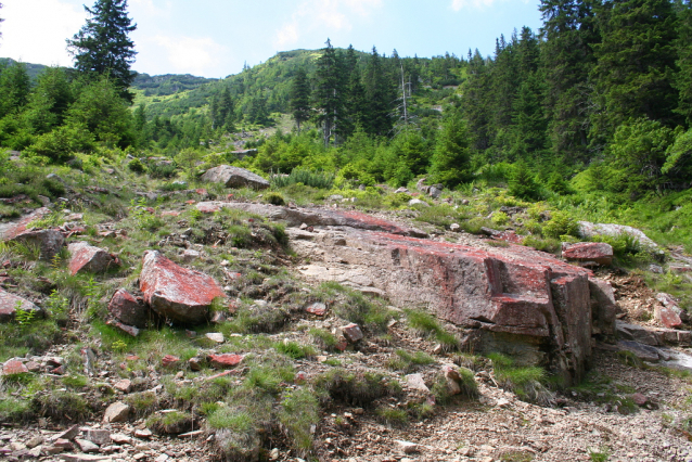 Bílé Labe na skialpech