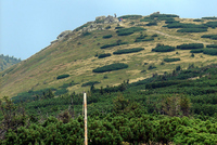 Harrachovy kameny v Krkonoších Harrachovy kameny v Krkonoších