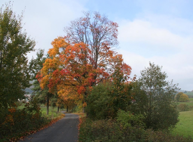 Podzimní procházka Lužickými horami
