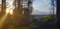 Zilvar z chudobince provede turisty Rychnovem nad Kněžnou