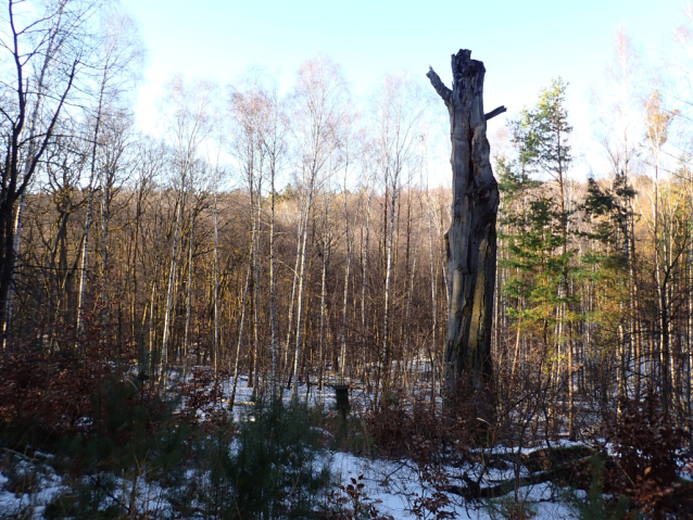 Loučeň a Mcely: výlet od zámku k zámečku a zpět
