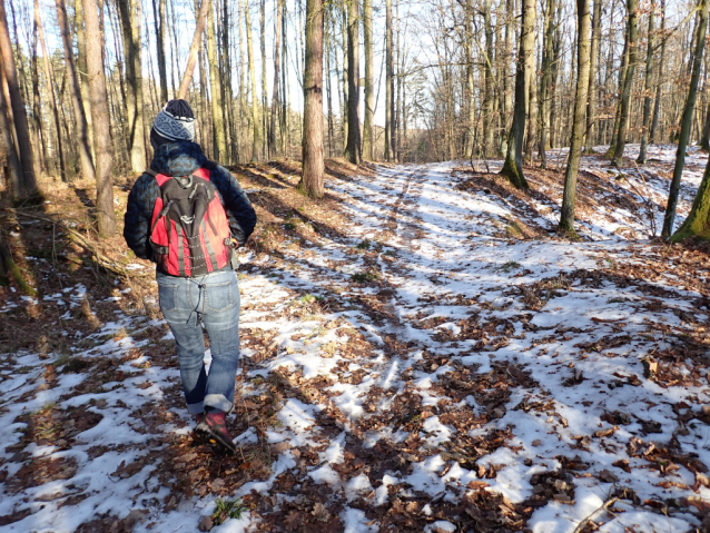 Loučeň a Mcely: výlet od zámku k zámečku a zpět