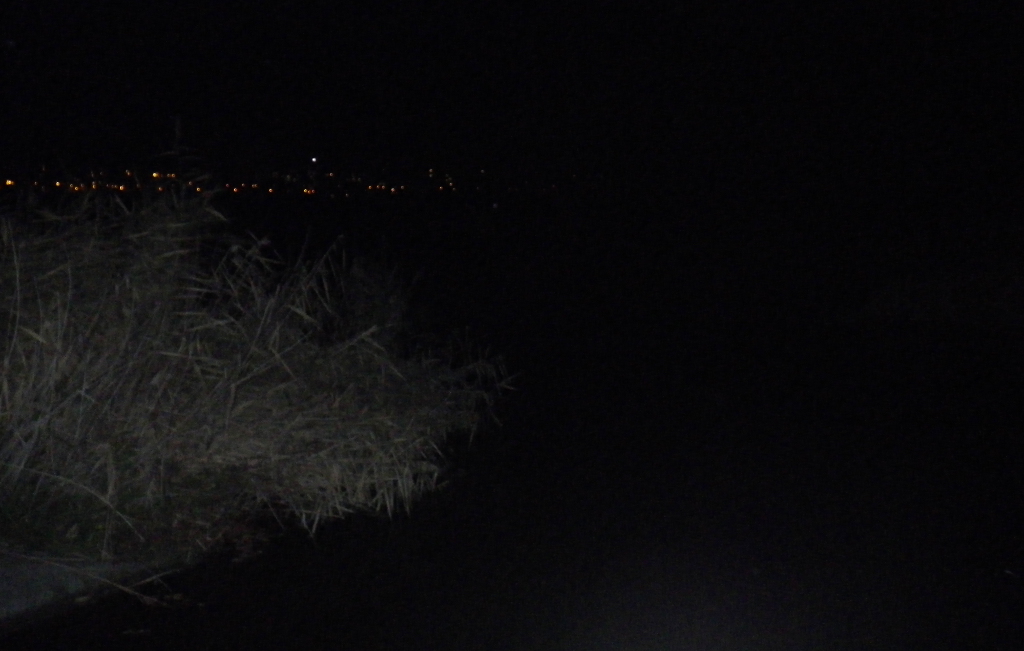 Noc na rybníku Čeněk u Černého Mostu.