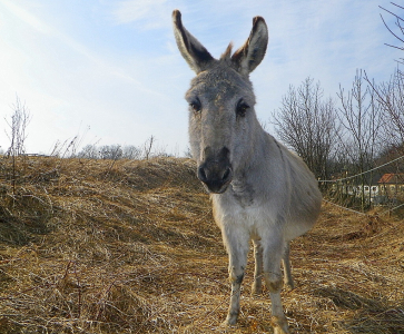 Jarní vyjížďka do Dalejského údolí 