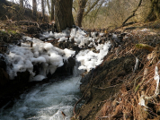 Vlakový výlet do Bayerisch Eisenstein 