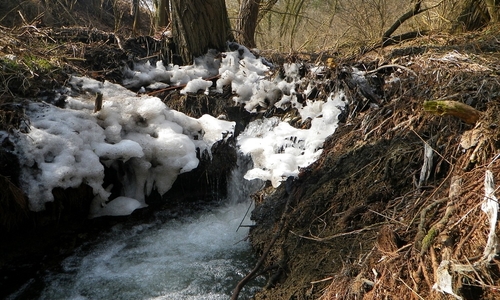 Vlakový výlet do Bayerisch Eisenstein 