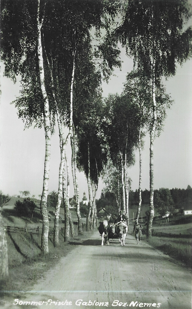 Jabloneček / Gablonz bei Niemes 1934. Silnice do Kratzmannova a dál do Oken..
