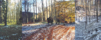 Strážov/Strassdorf zlikvidovali Rusové
