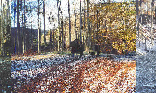 Strážov/Strassdorf zlikvidovali Rusové Strážov/Strassdorf zlikvidovali Rusové