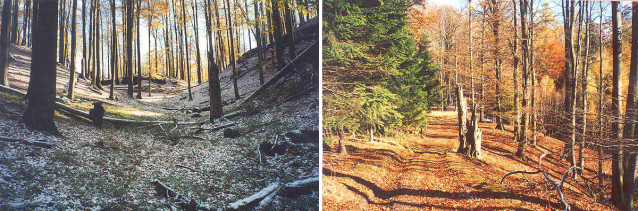 Psí kostel alias Hundskirche v Polomených horách neboli v Kummer Gebirge