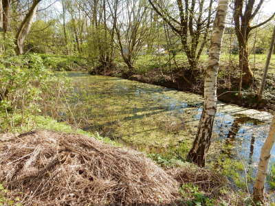 Cyklista narazil do harvestoru na lesní silničce u Ralska