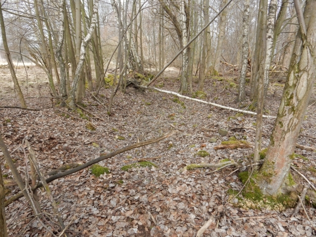 Palohlavy, zaniklá obec pod Ralskem