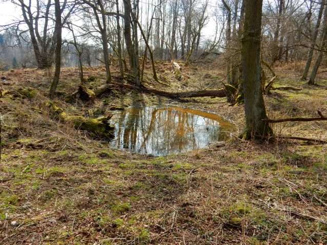 Za bledulemi a sněženkami do Palohlav