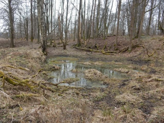 Palohlavy, zaniklá obec pod Ralskem