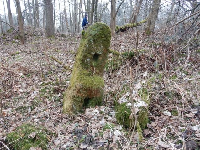 Palohlavy, zaniklá obec pod Ralskem