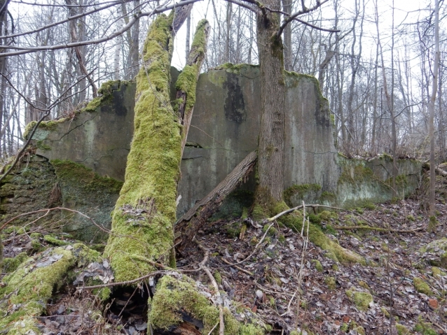 Palohlavy, zaniklá obec pod Ralskem