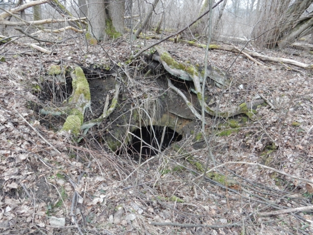 Palohlavy, zaniklá obec pod Ralskem