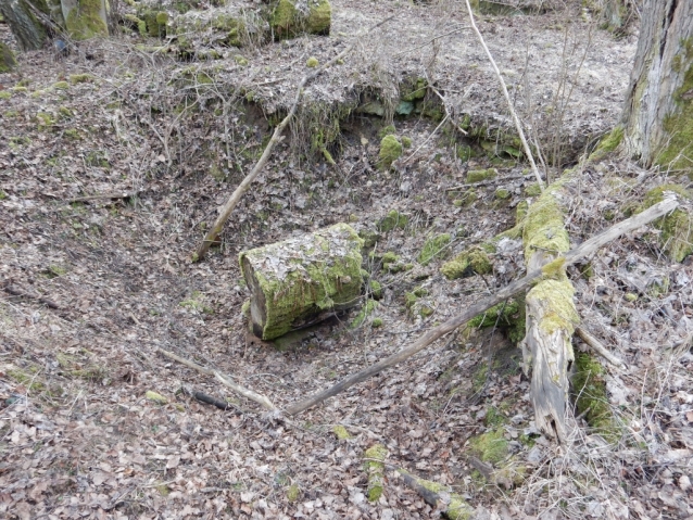 Palohlavy, zaniklá obec pod Ralskem