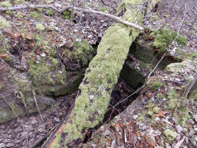 Palohlavy, zaniklá obec pod Ralskem