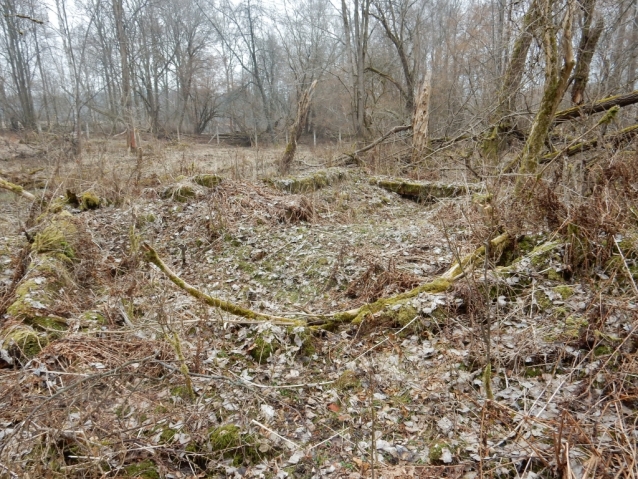 Palohlavy, zaniklá obec pod Ralskem