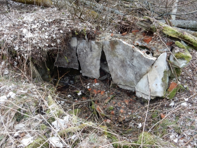 Palohlavy, zaniklá obec pod Ralskem