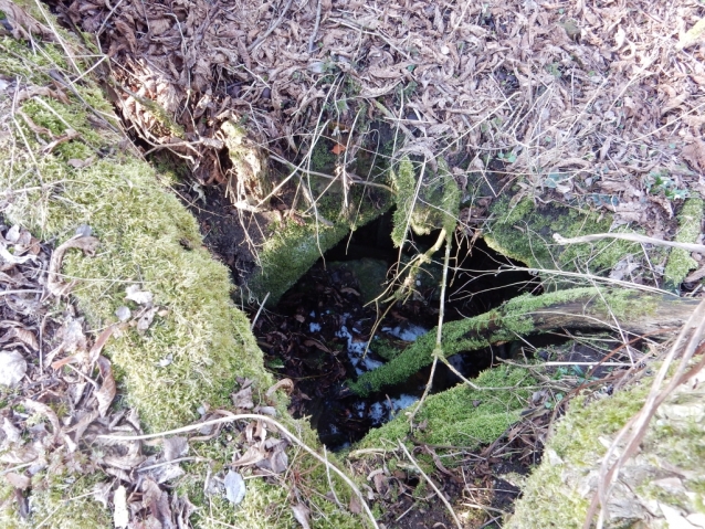 Palohlavy, zaniklá obec pod Ralskem