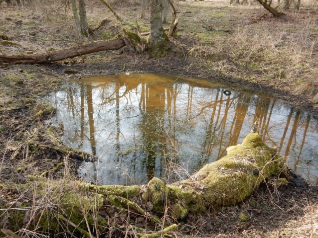 Palohlavy, zaniklá obec pod Ralskem