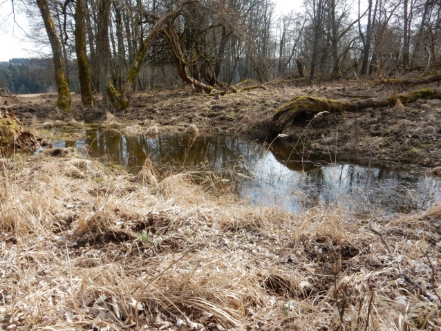 Palohlavy, zaniklá obec pod Ralskem