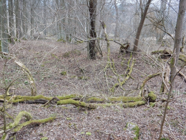 Palohlavy, zaniklá obec pod Ralskem